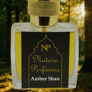Amber Shan